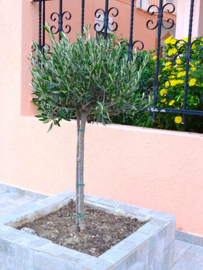 Socrates Apartments Olympiakí Aktí Zewnętrze zdjęcie