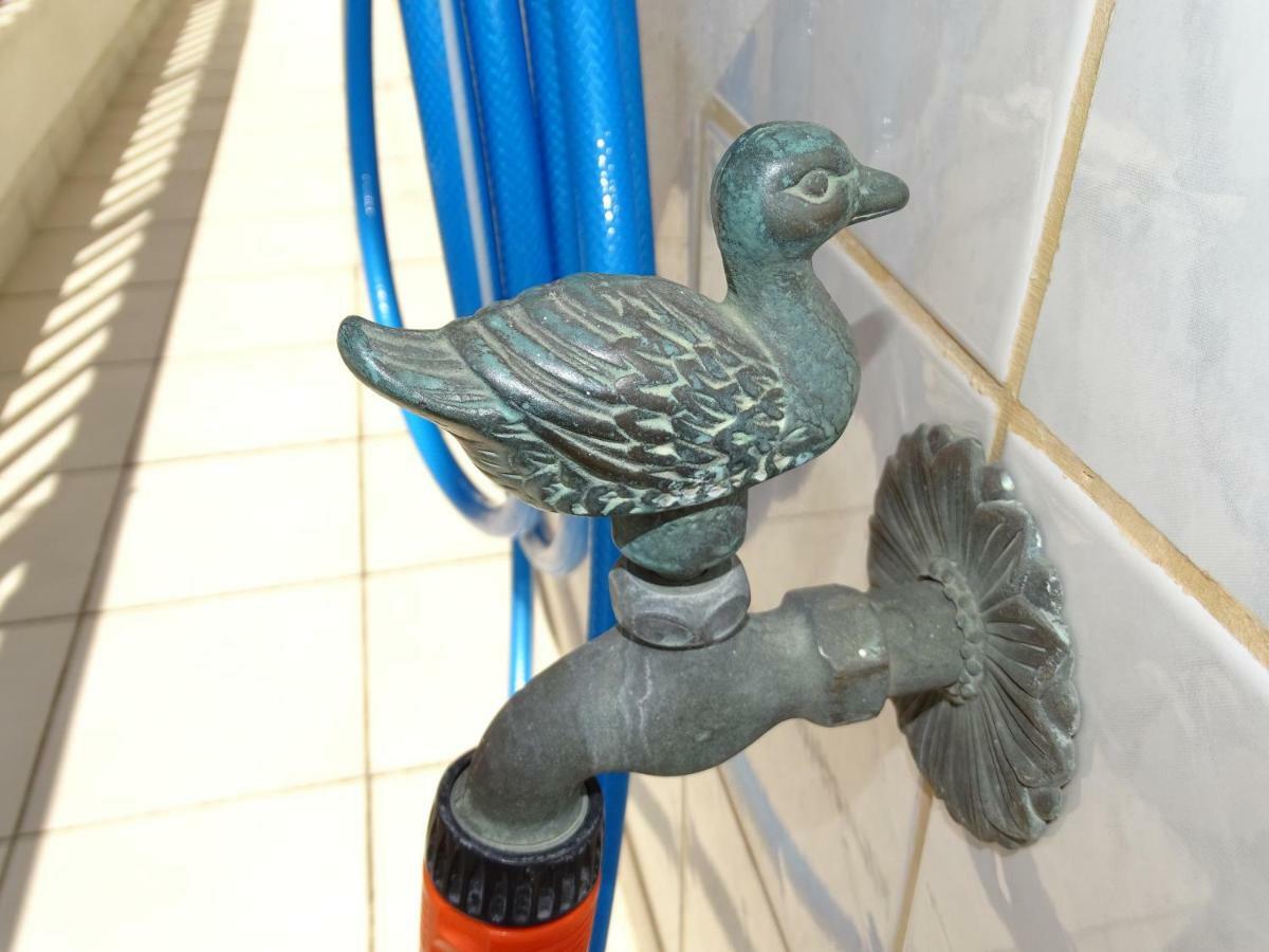 Socrates Apartments Olympiakí Aktí Zewnętrze zdjęcie
